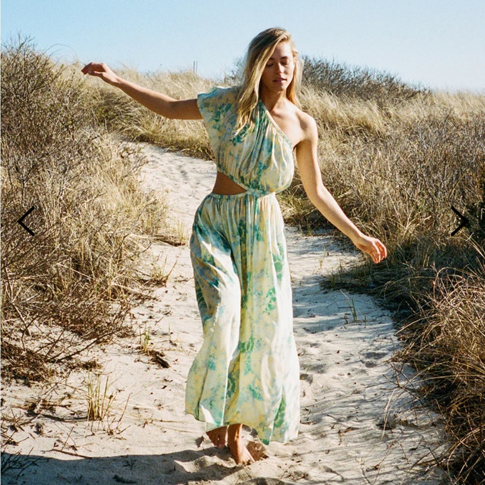 NWT the westside poppy cut out silk maxi dress - Picture 1 of 7